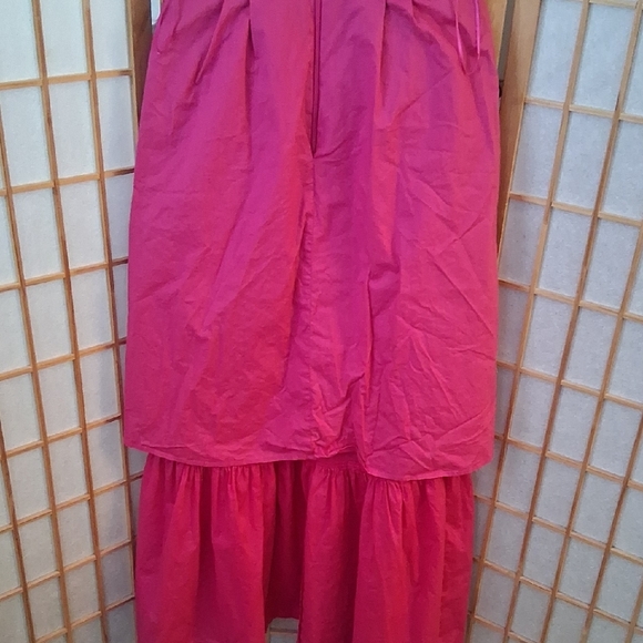 Express Pink Ruffled  Dress - Picture 14 of 16